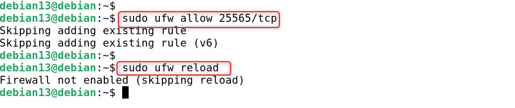   sudo ufw allow 25565/tcp

