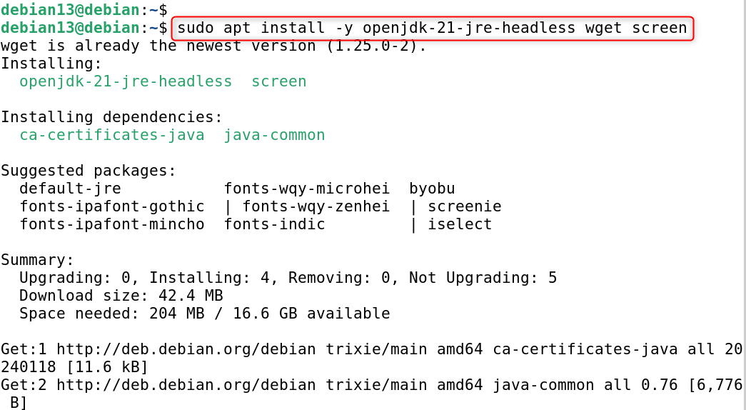 sudo apt install -y openjdk-21-jre-headless wget screen

