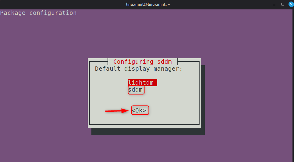 Choose default display manager