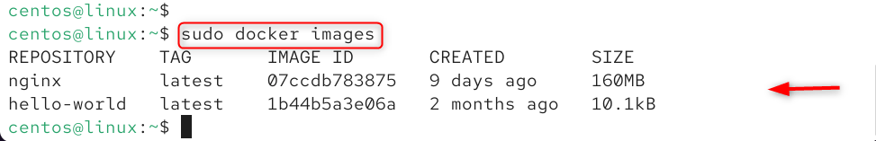   sudo docker images
