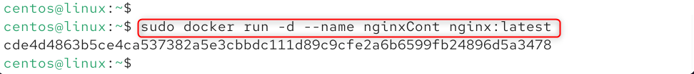   sudo docker run -d --name nginxCont nginx:latest
