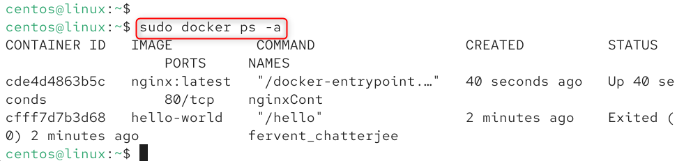   sudo docker ps -a
