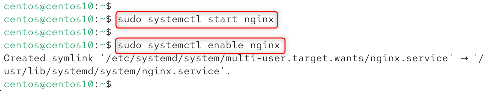 Sart and enable Nginx