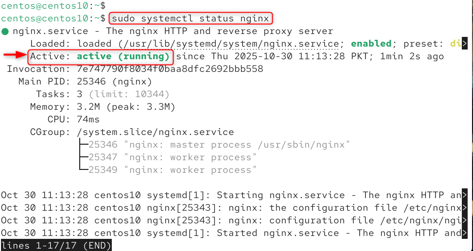   sudo systemctl status nginx
