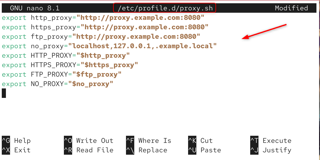 Set proxy as environment variables