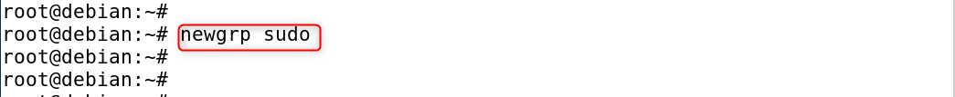 newgrp sudo