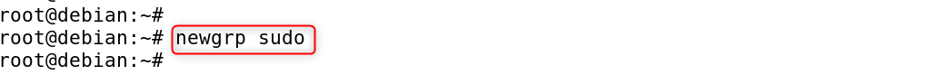 newgrp sudo