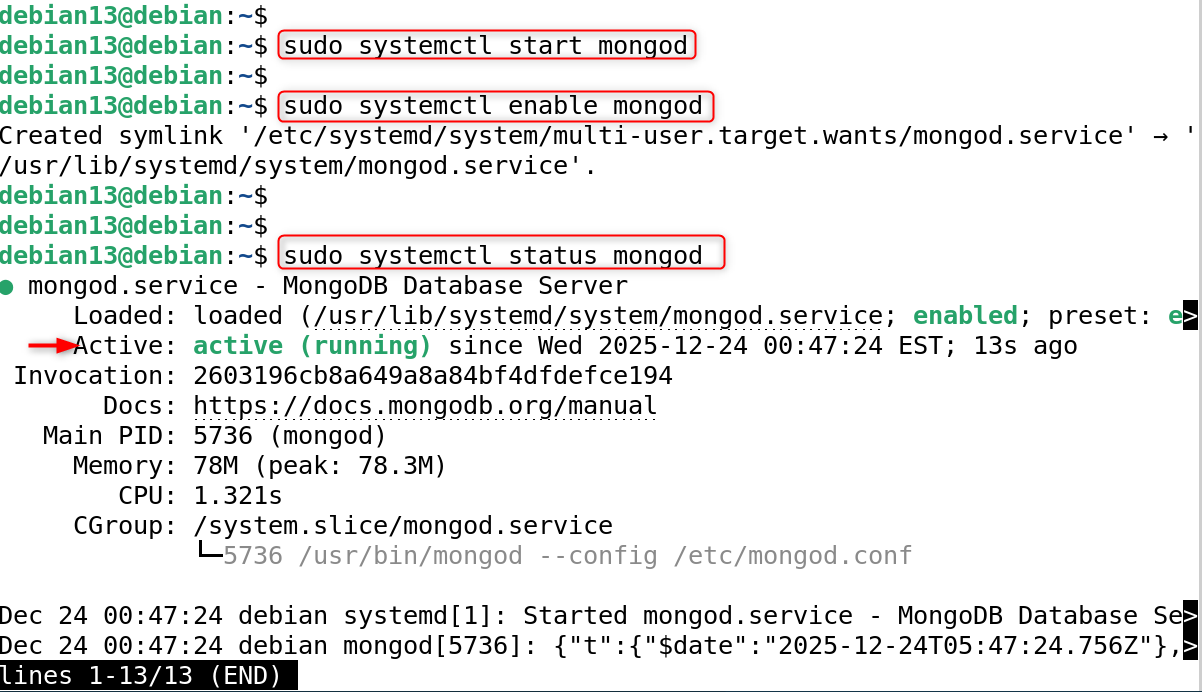 sudo systemctl start mongod