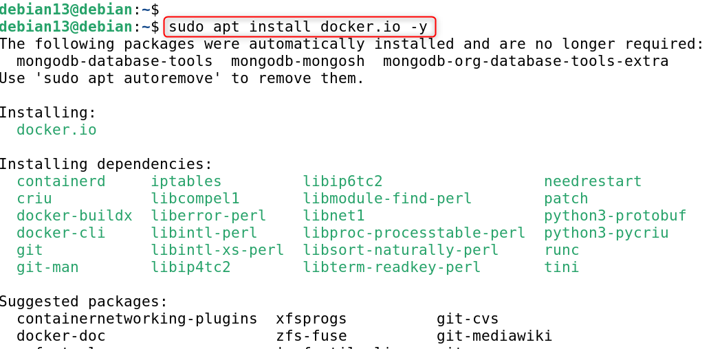 sudo apt install docker.io -y