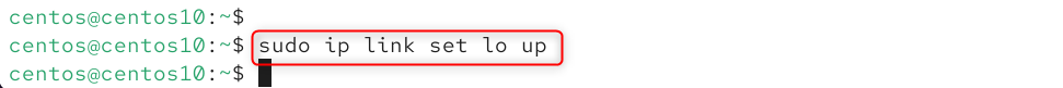 sudo ip link set <interface-name> up