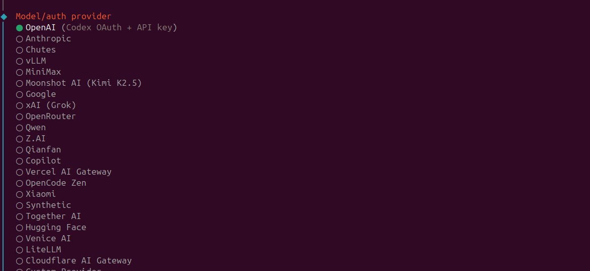 OpenClaw model or auth provider