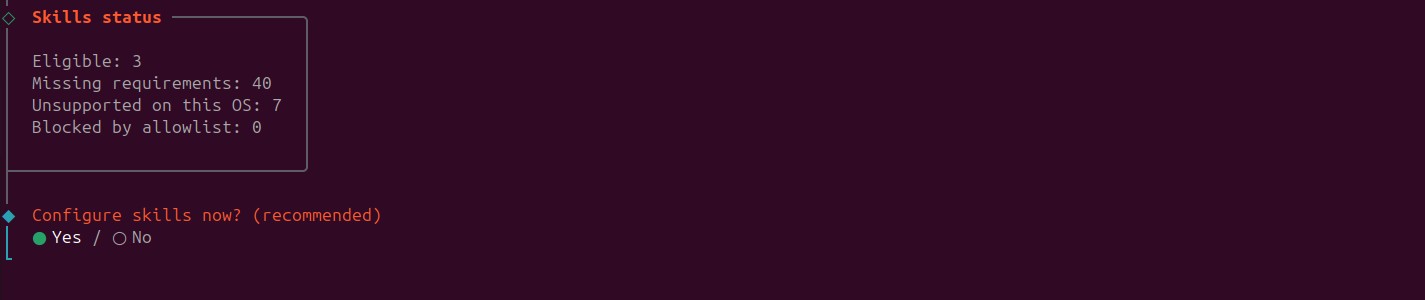 Configure OpenClaw skills