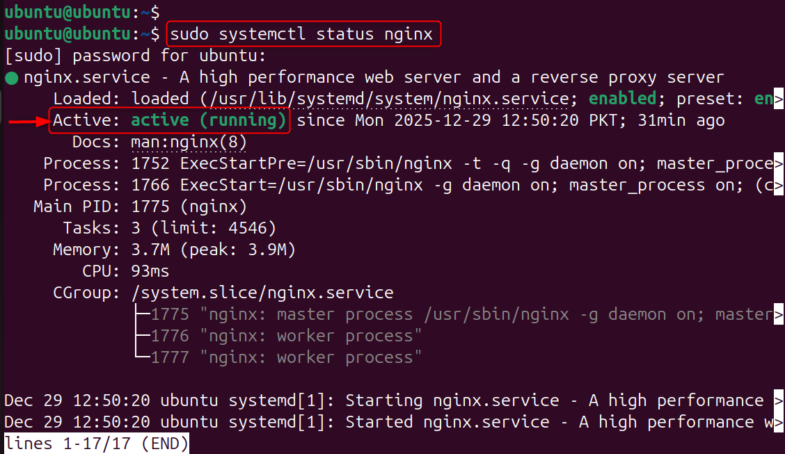 sudo systemctl status nginx