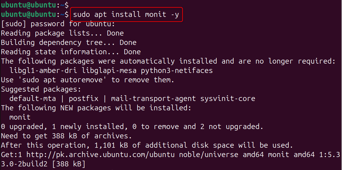 sudo apt install monit -y