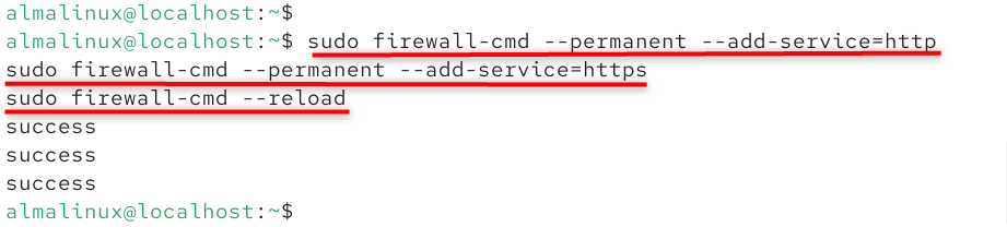 allow http and https for nginx
