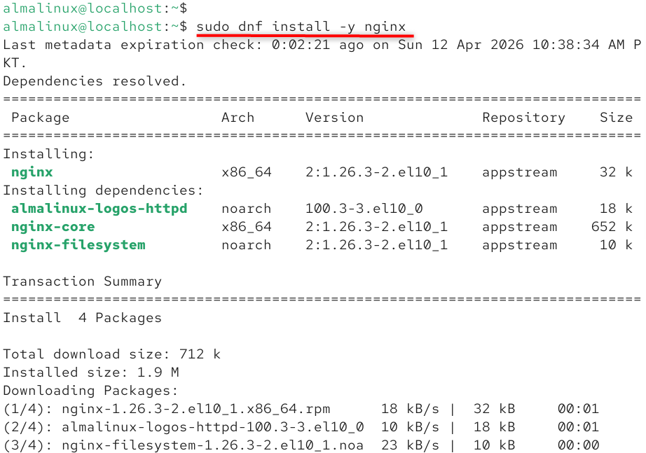 sudo dnf install -y nginx