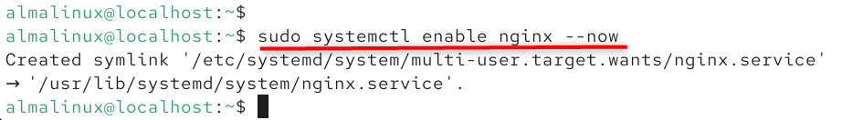 sudo systemctl enable nginx --now