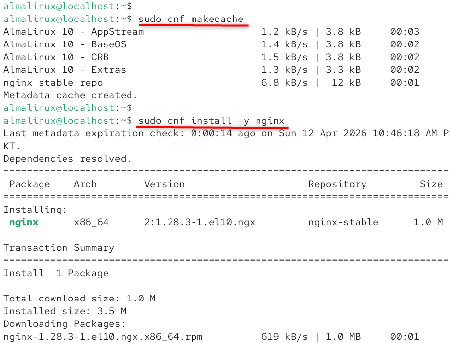 clear dnf and install nginx