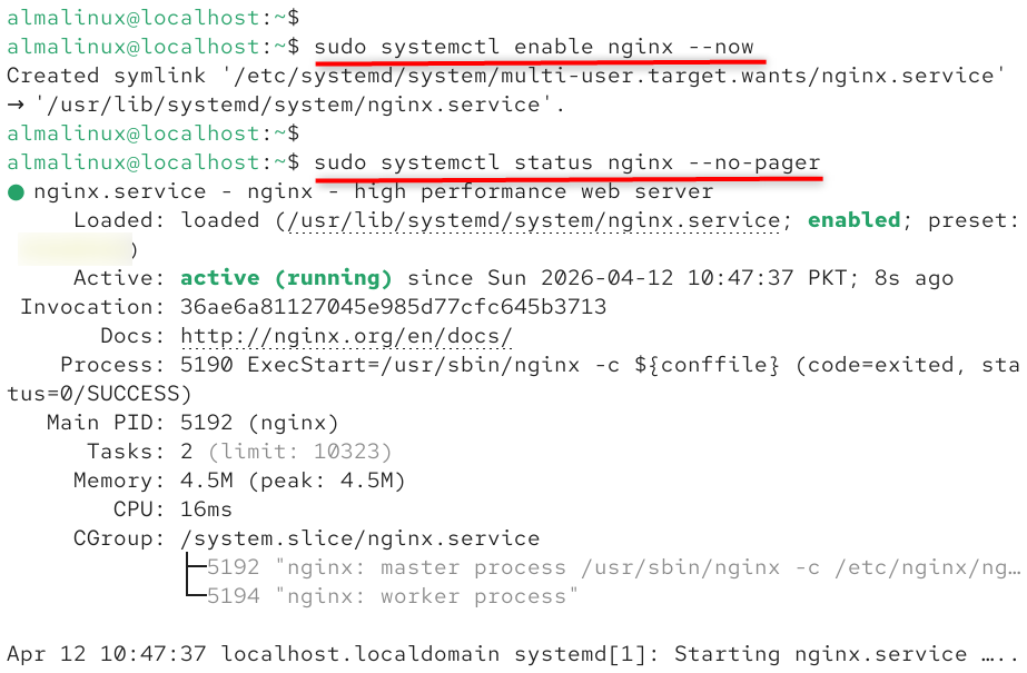 enable nginx