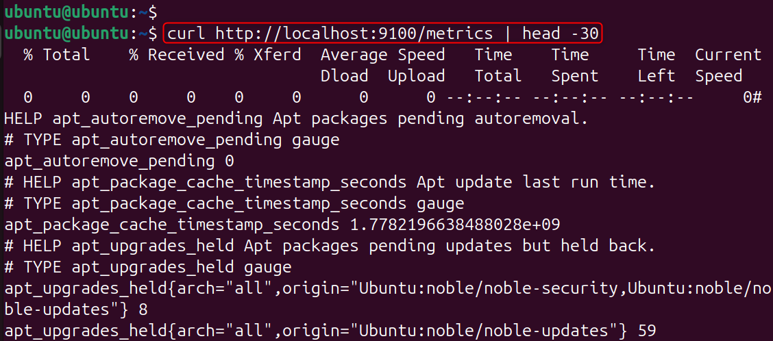 curl http://localhost:9100/metrics | head -30