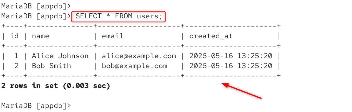 select * from users;