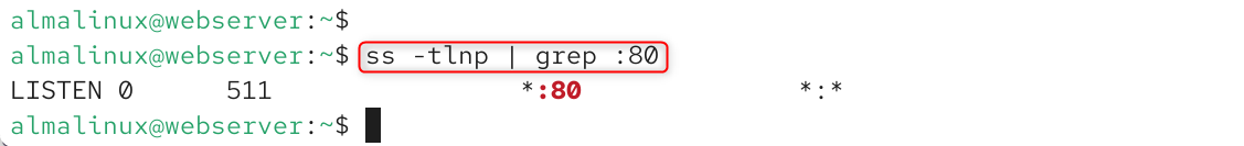 ss -tlnp | grep :80