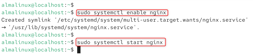 sudo systemctl enable nginx