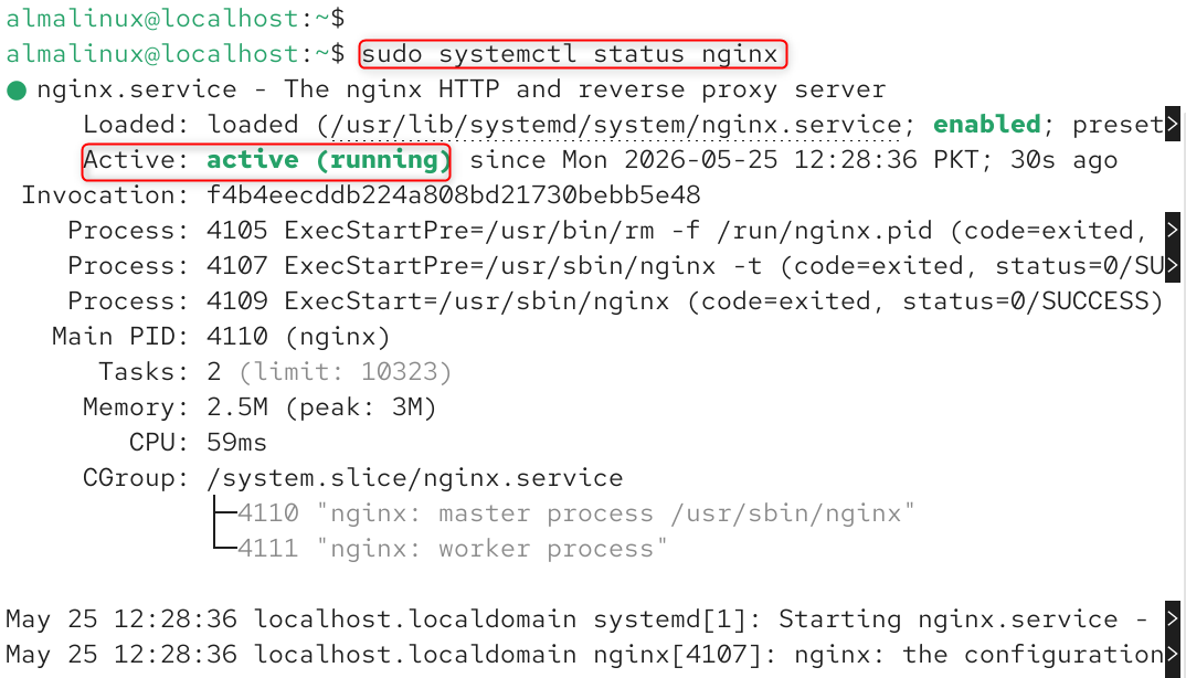 sudo systemctl status nginx