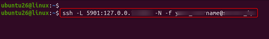 ssh -L 5901:127.0.0.1:5901 -N -f your_username@server_ip