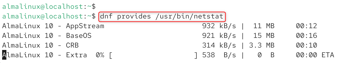   dnf provides /usr/bin/netstat
