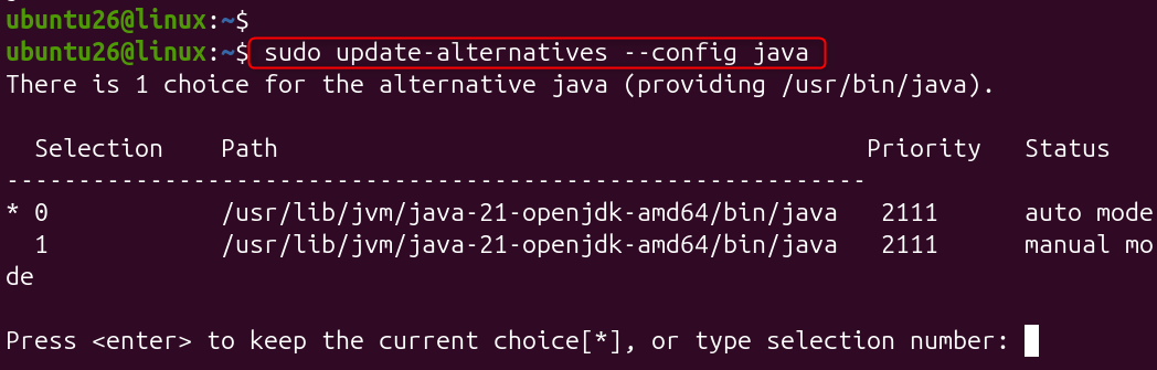   sudo update-alternatives --config java
