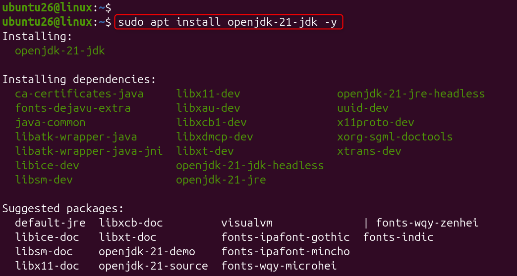   sudo apt install openjdk-21-jdk -y
