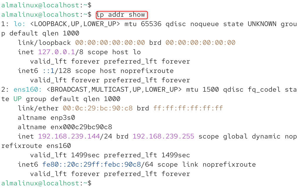 ip addr show