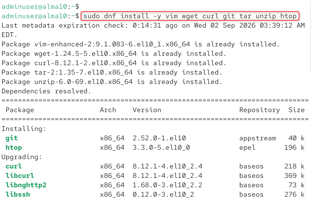 install essential tools like vim, wget, curl, git, and tar