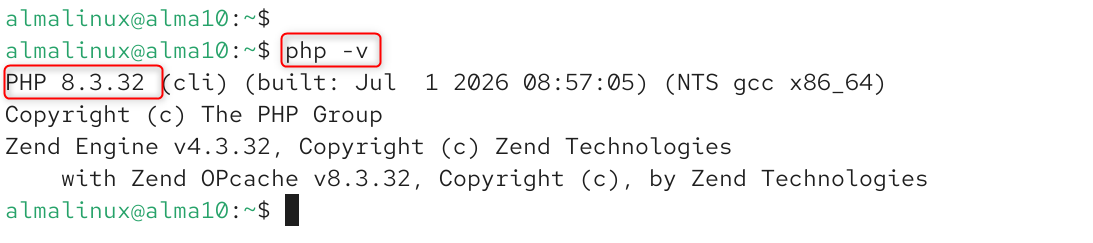 check php version