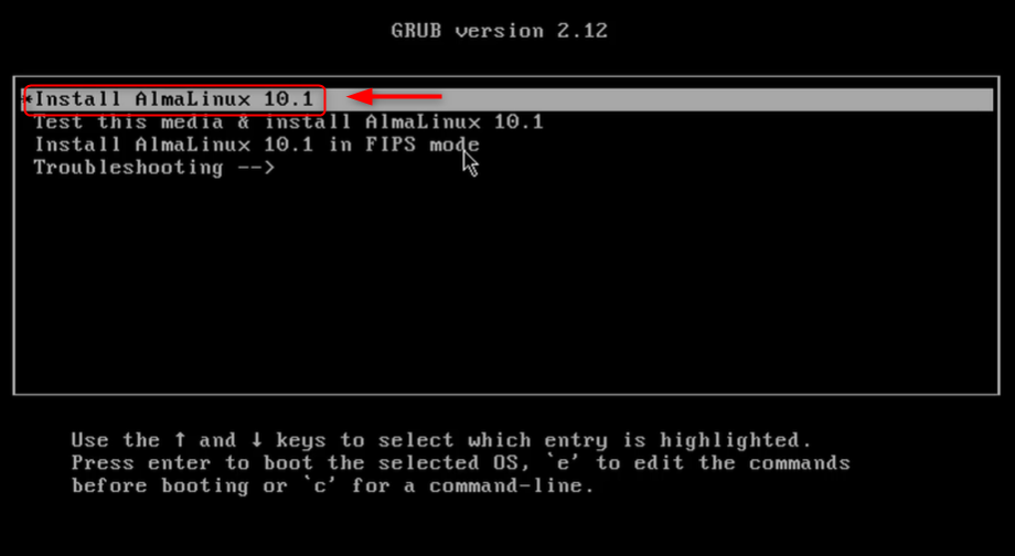 install almalinux 10 from boot menu