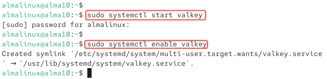 start and enable valkey service