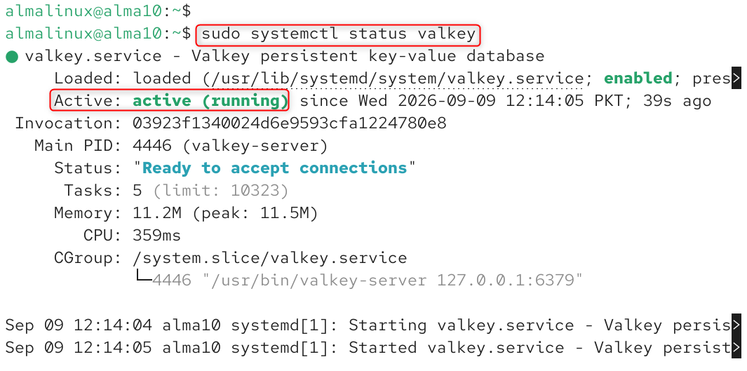 check valkey status