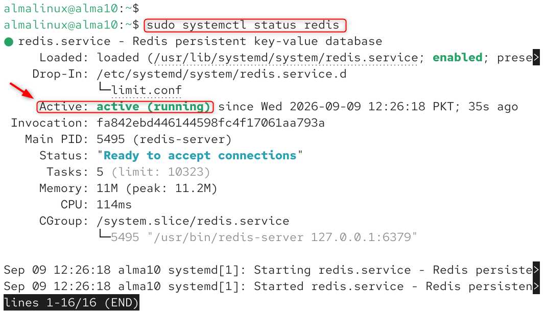 check redis status