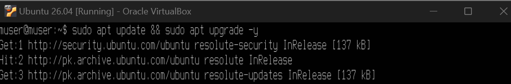 updating and upgrading the packages