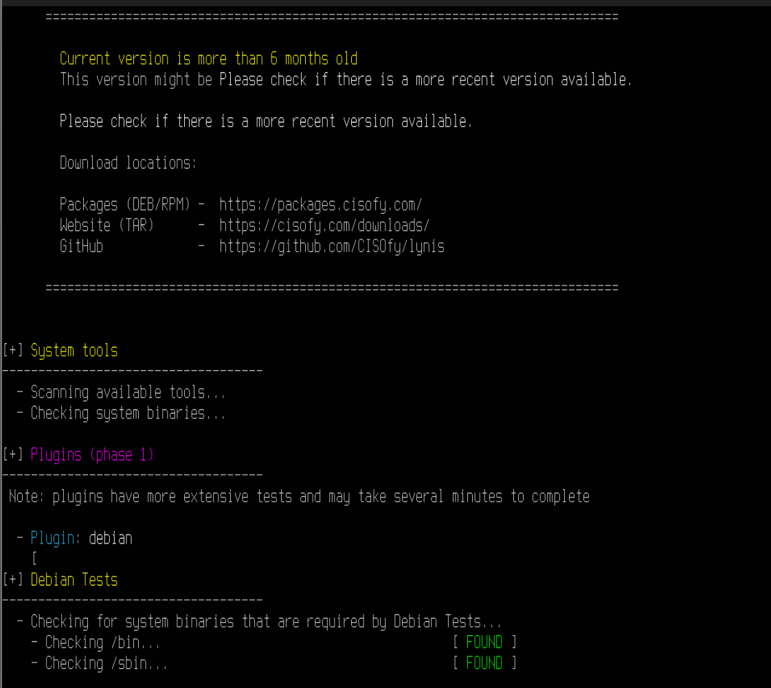 run lynis audit tool