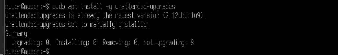 configuring automatic security updates