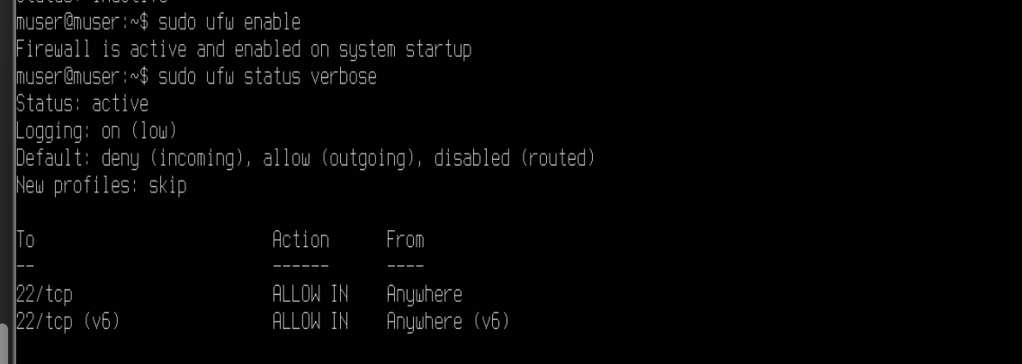 enable ufw