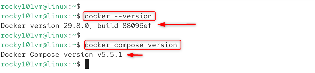 check docker version