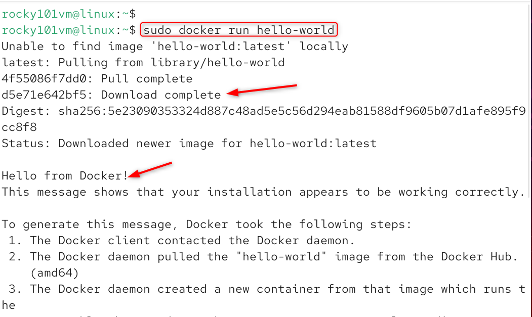 run hello world in docker