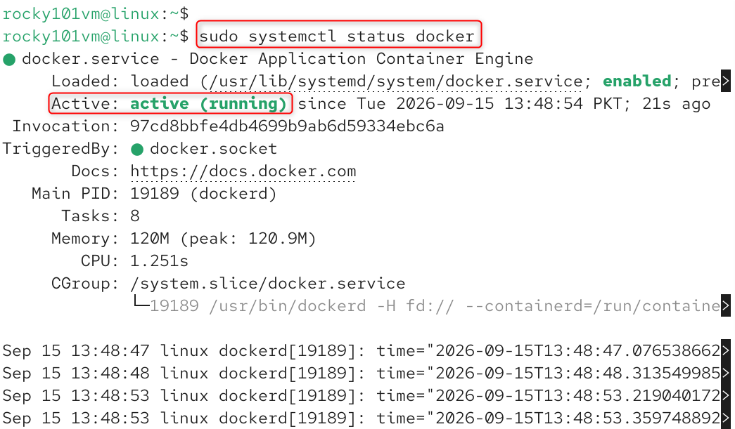 check docker status