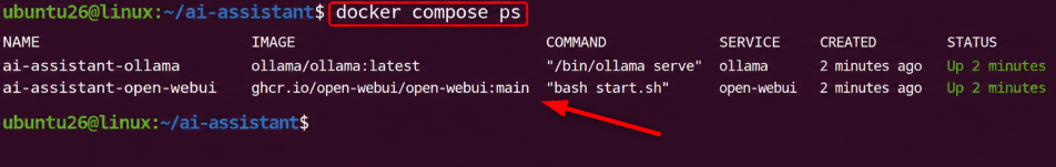 check docker containers