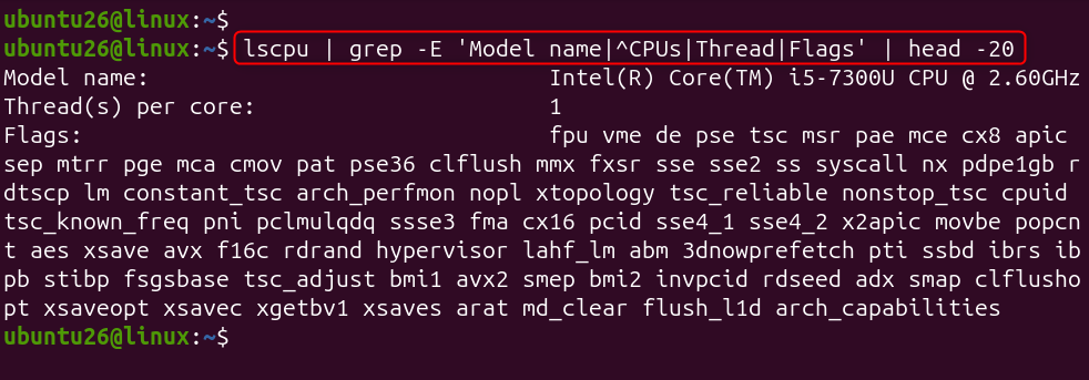 check cpu detail