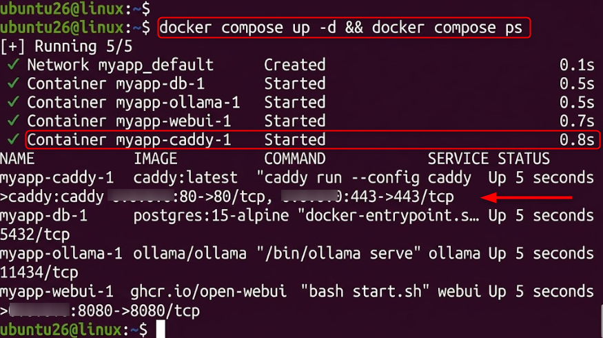 start docker compose