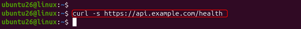 Ubuntu terminal showing curl command to check AI API health endpoint